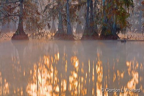 Sunrise Reflection_26667.jpg - Photographed at Lake Martin in the Cypress Island Preserve near Breaux Bridge, Louisiana, USA.